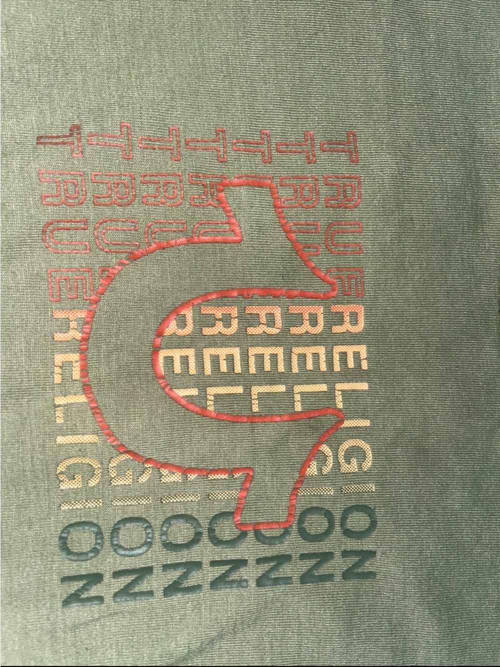 True Religion Olive Tee with Multicolor Horseshoe Graphic 24Months